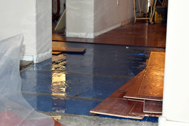 Professional Water Damage Restoration technician working in Guin, AL